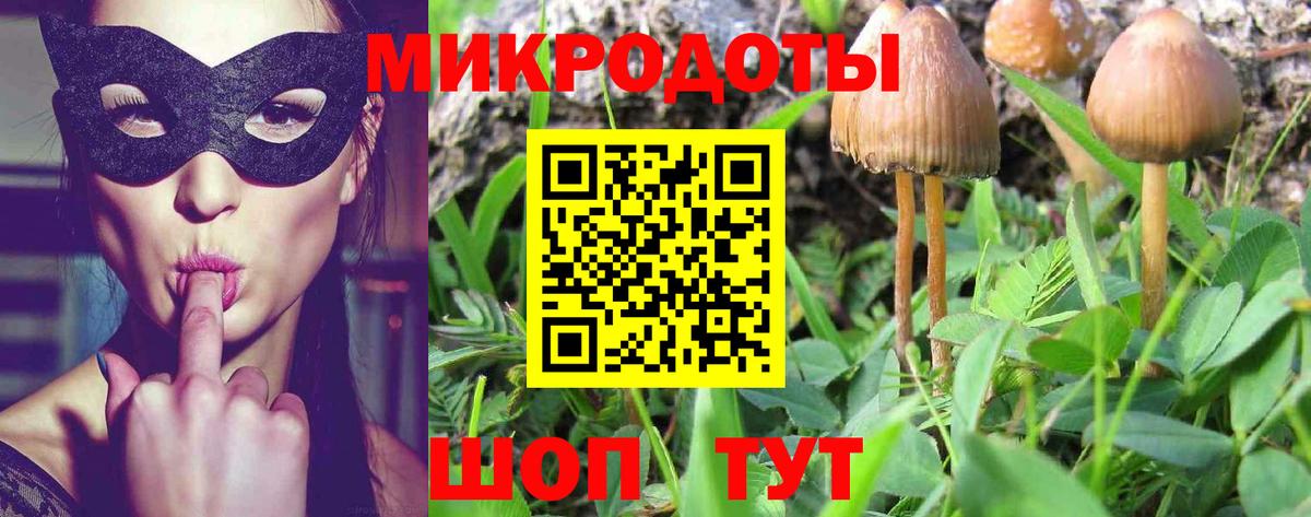 Псилоцибиновые грибы GOLDEN TEACHER Ревда